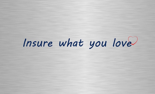 Insure what you love banner